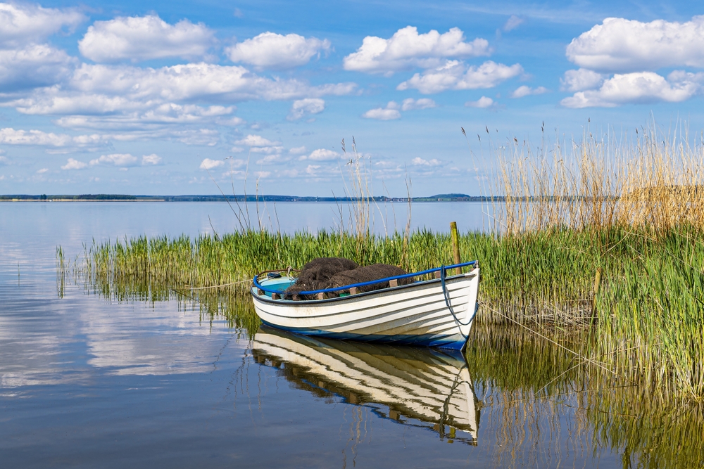 Een kleine boot ligt naast enkele groene rietstengels in een rustige baai op een zonnige dag