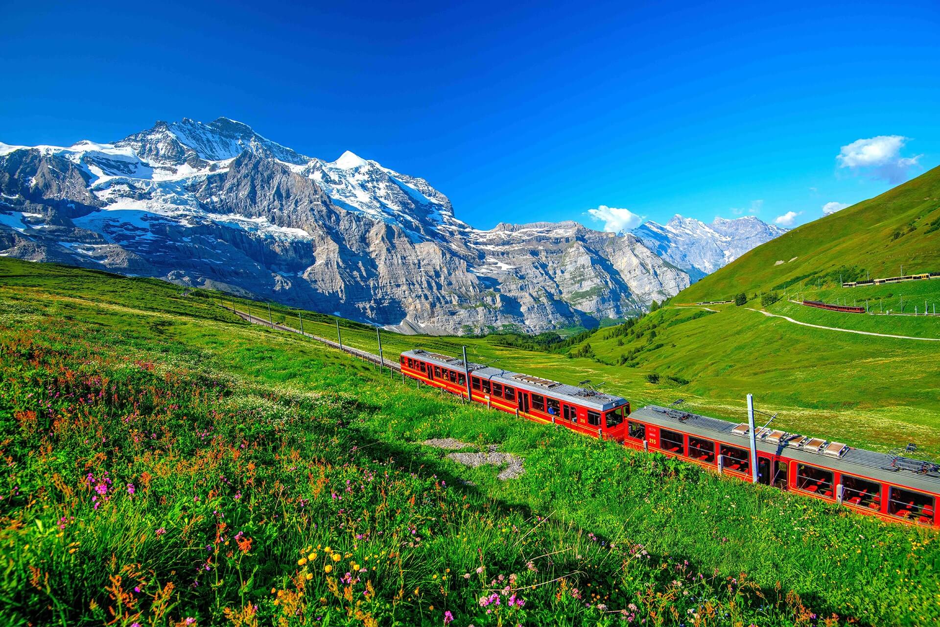 shutterstock_2340753793-2