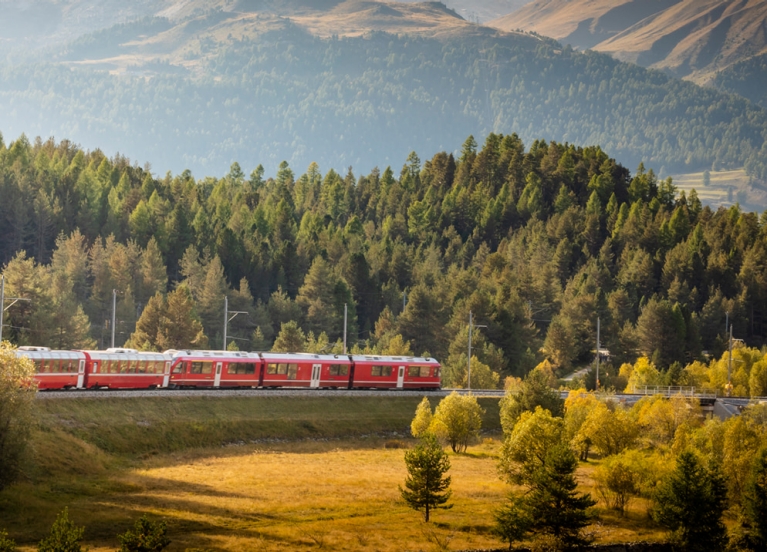 A train travelling through a picturesque forest landscape