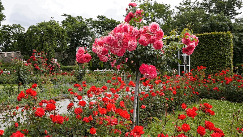 Czech-Republic-Petrin-Gardens