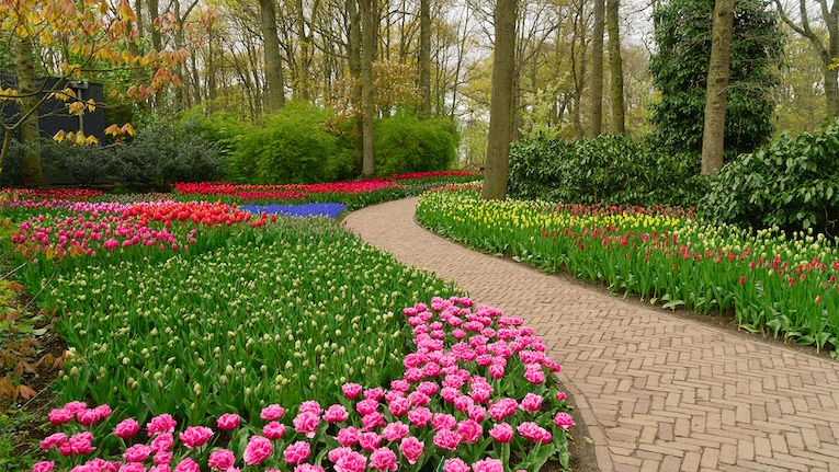 Netherlands-Keukenhof