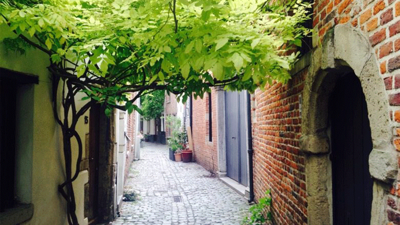 Brussels Impasses by Sarah Filion 