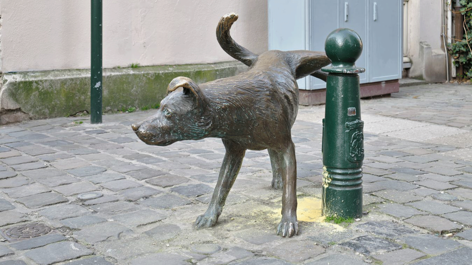 Zinneke by Trougnouf (Benoit Brummer) (CC BY-SA 4.0) 