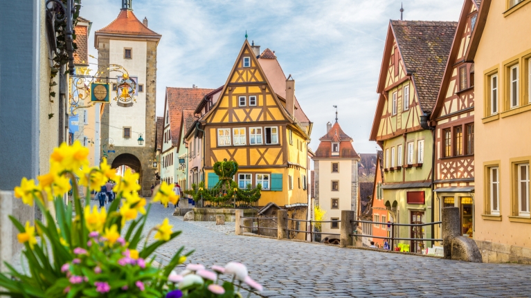 germany-rotherburg-flowers