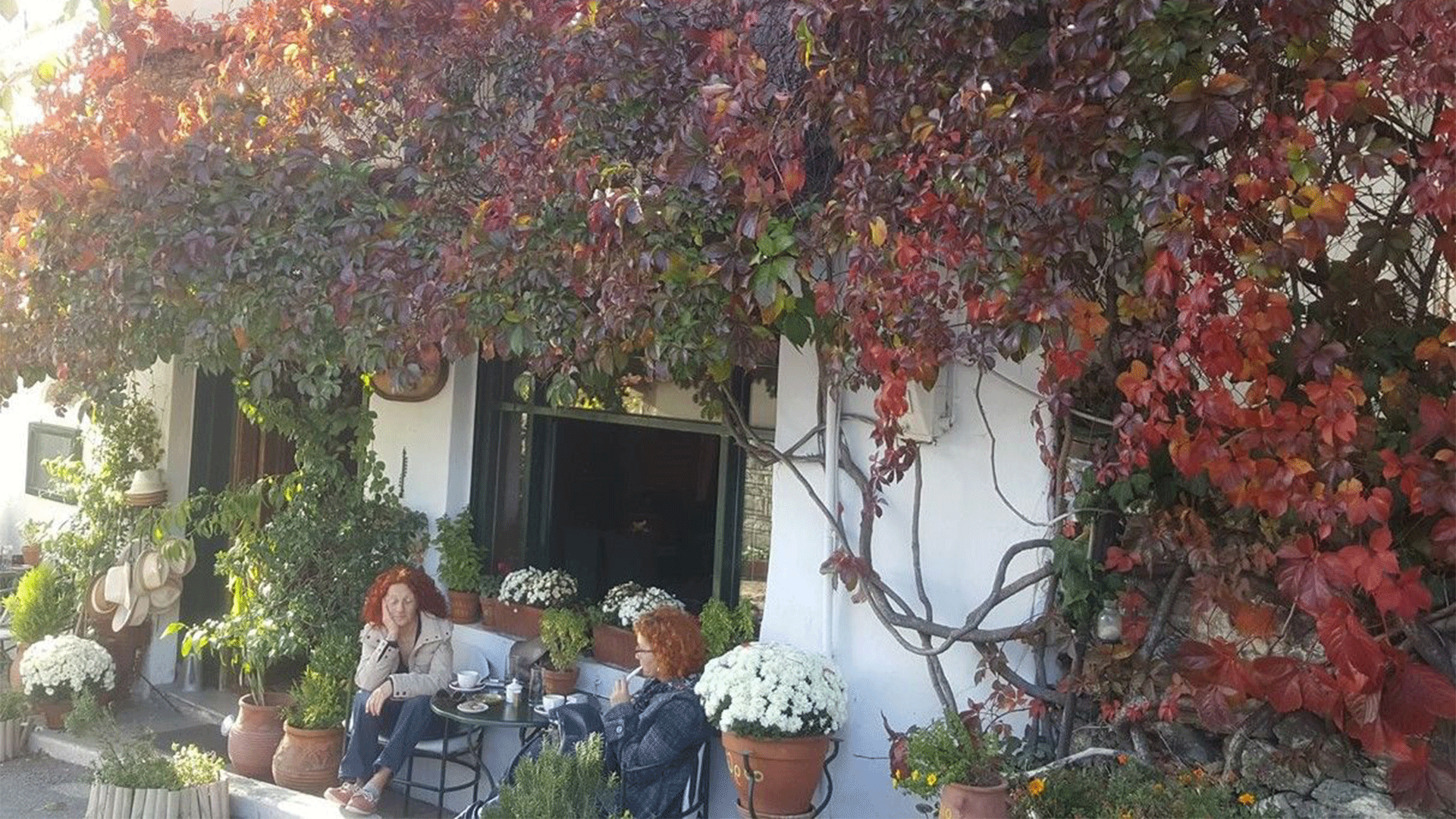Cafe Aithrion by Cafe Aithrion