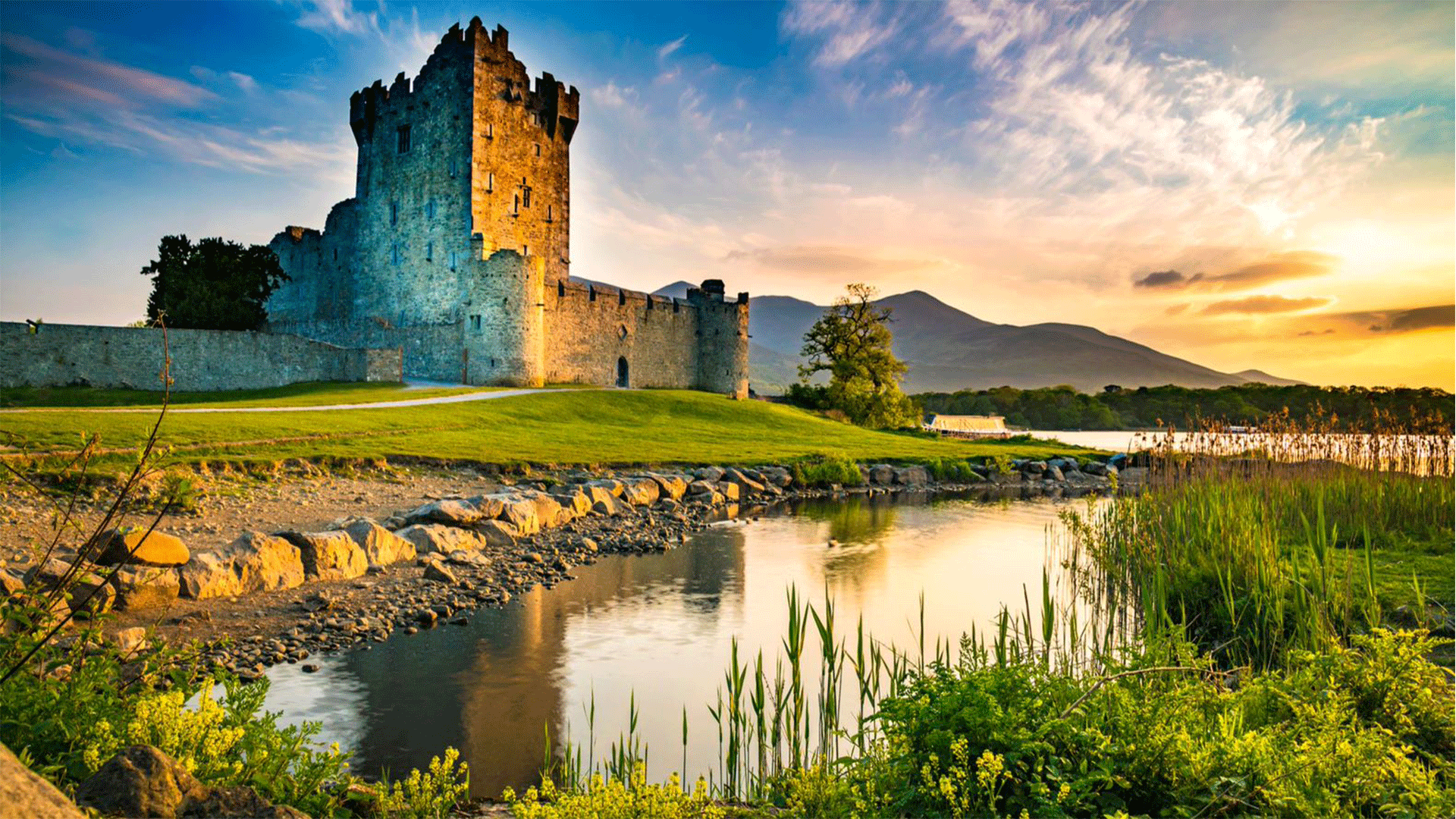 ireland-killarney-castle-field