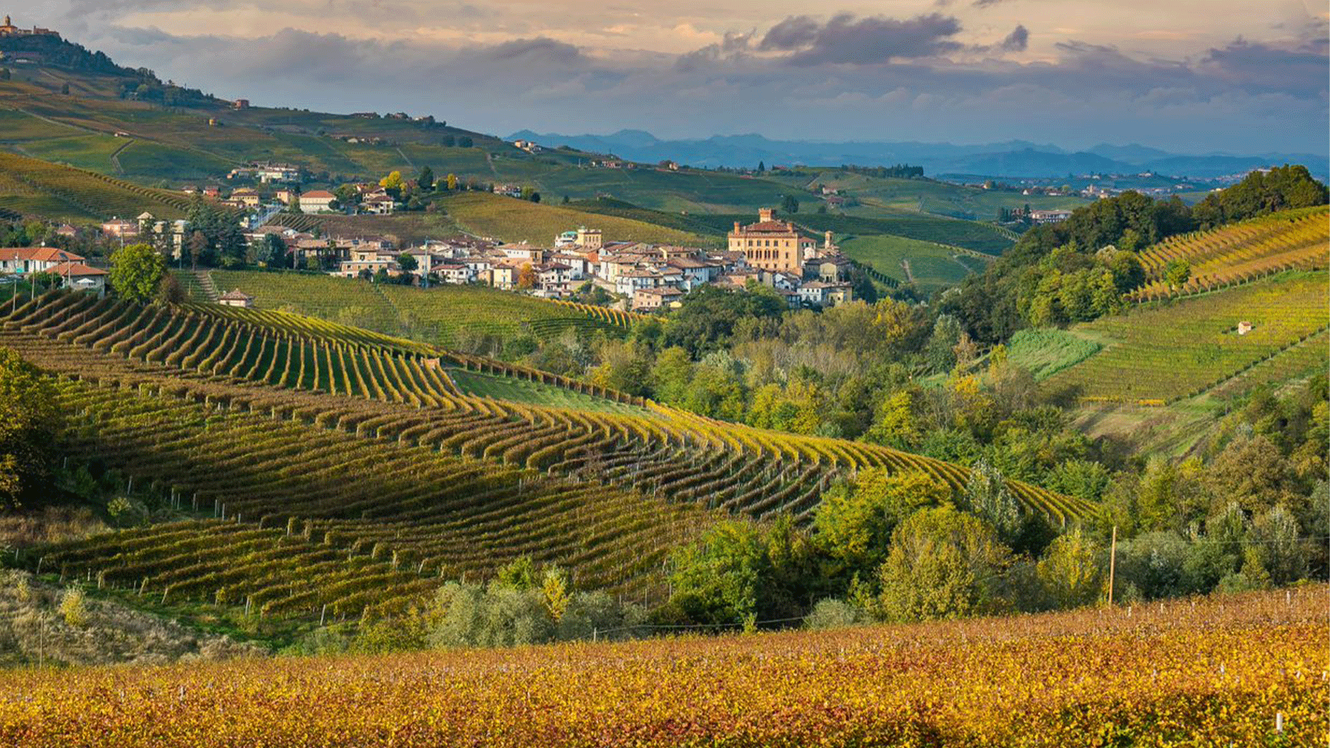 italy-piedmont-barolo-town