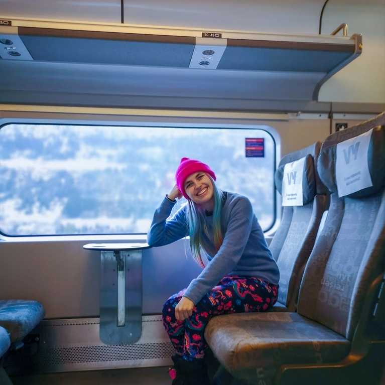 kris-travels-with-a-wheelchair-in-train-in-scandinavia