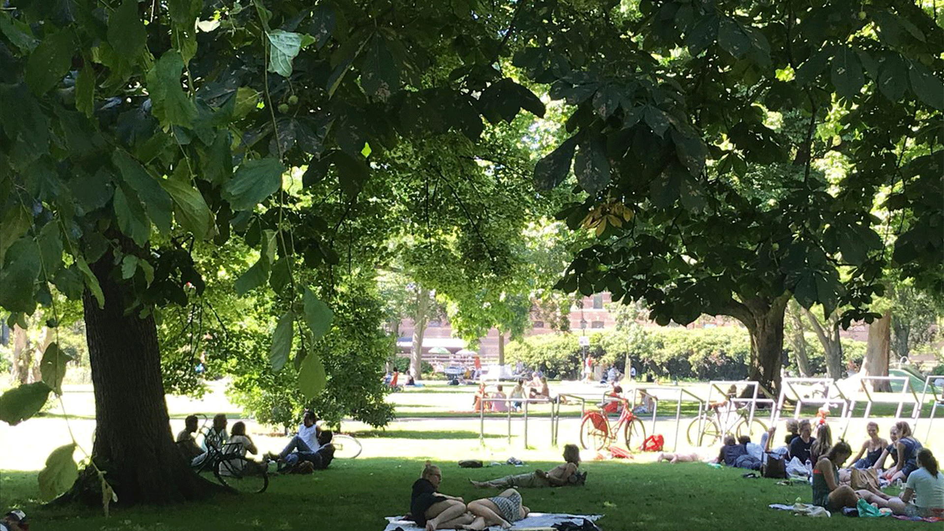 Palace Gardens by Jenny Huttinga    