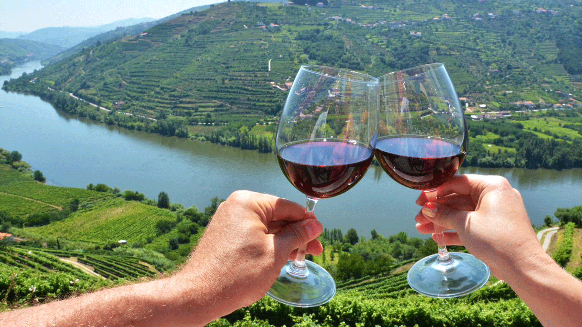 portugal-duoro-valley-wine-glasses