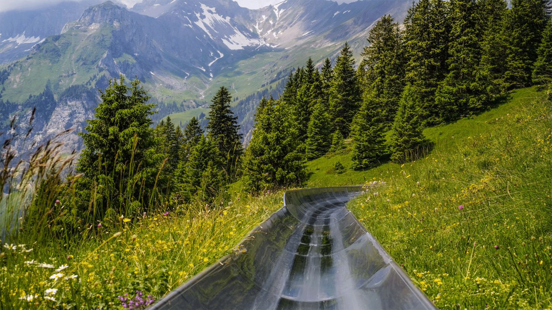 switzerland-alps-summer-toboggan-rodelbahn