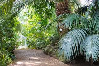 austria-vienna-schonbrunn-botanical-garden