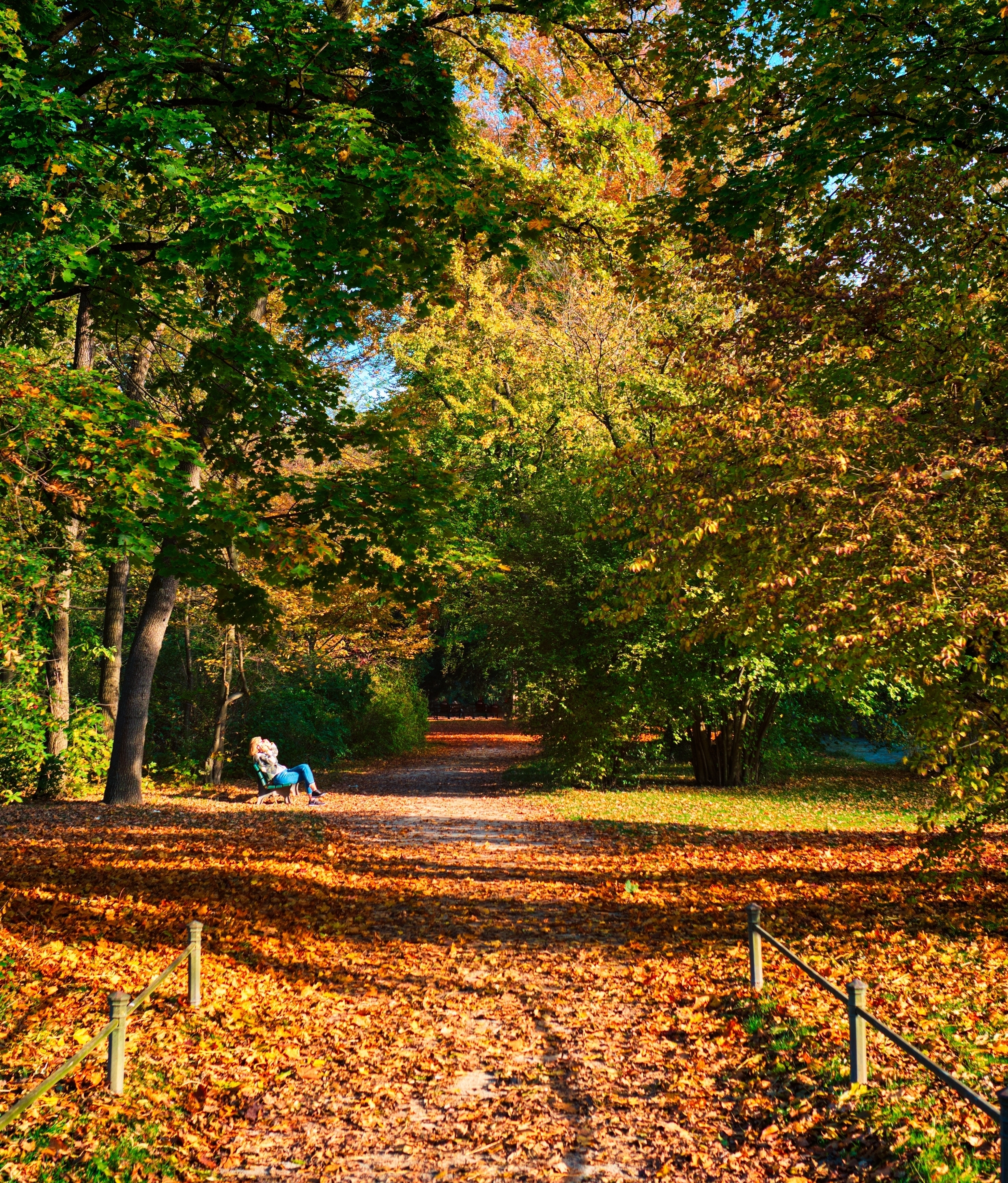 Hojas de otoño en el Jardín Inglés de Múnich