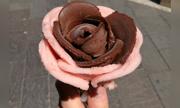 Gelarto Rosa Eis