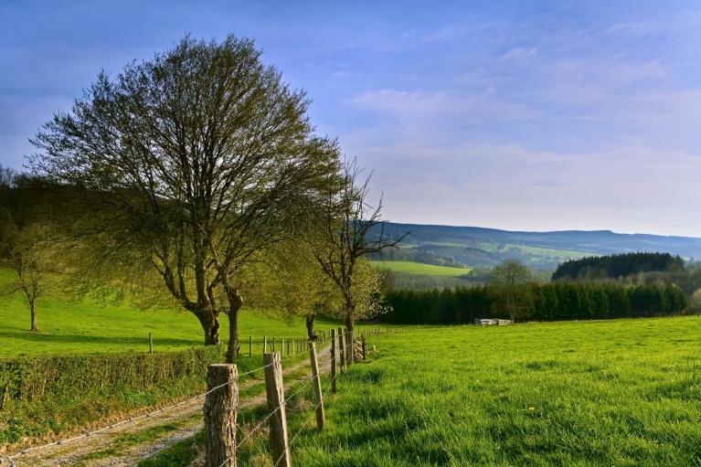     Belgian Ardennes  
