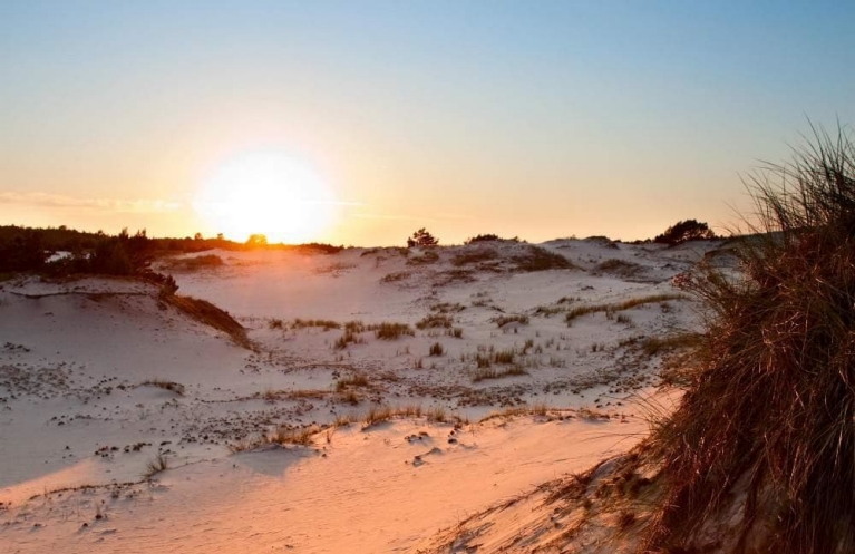 Duinen in nationaal park Słowiński