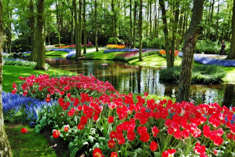     Keukenhof, Lisse, Paesi Bassi  