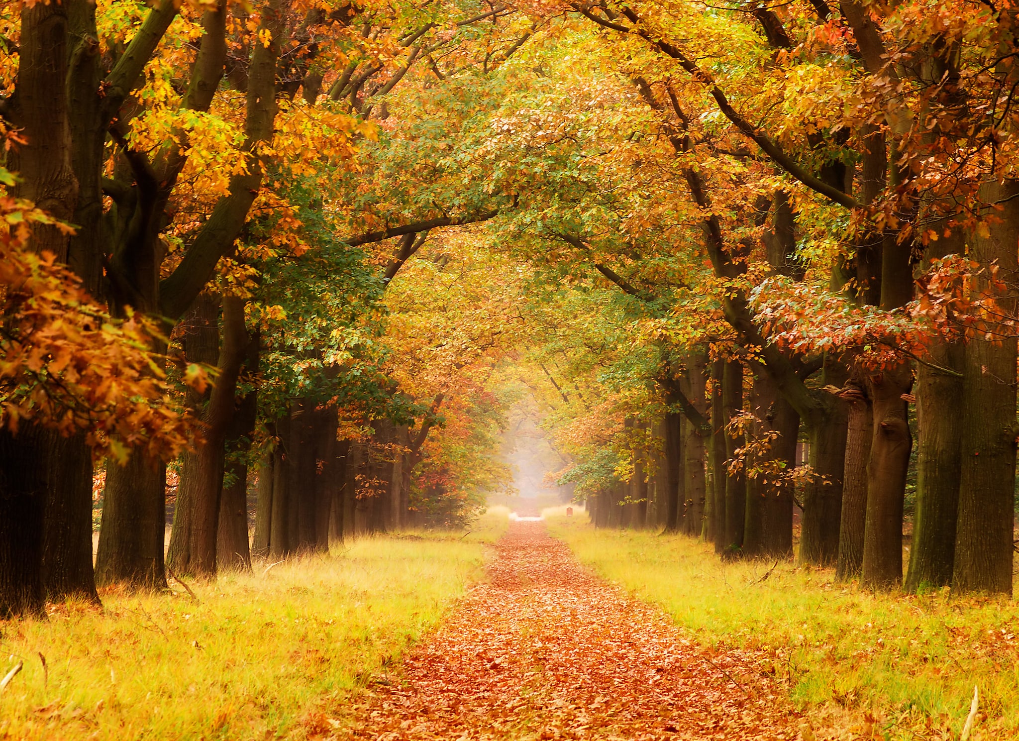 Nationaal park De Hoge Veluwe
