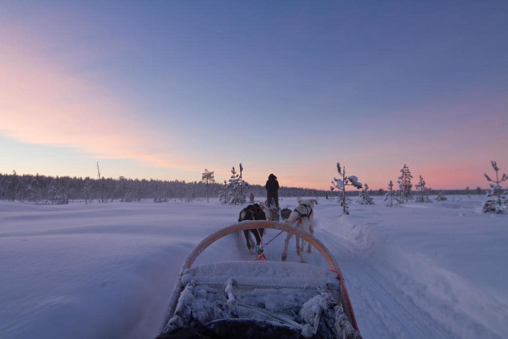 Parti all'avventura su una slitta trainata da husky