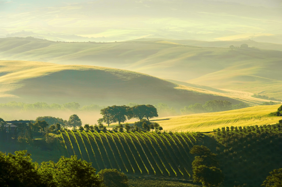 italy-tuscany-yellow