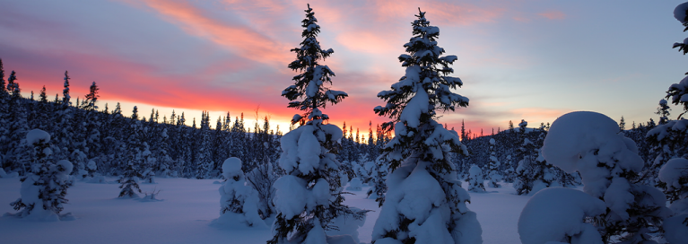 masthead-sweden-are-in-winter