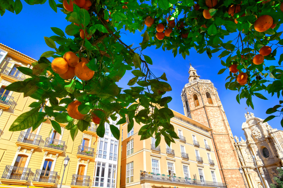 spain-valencia-orange