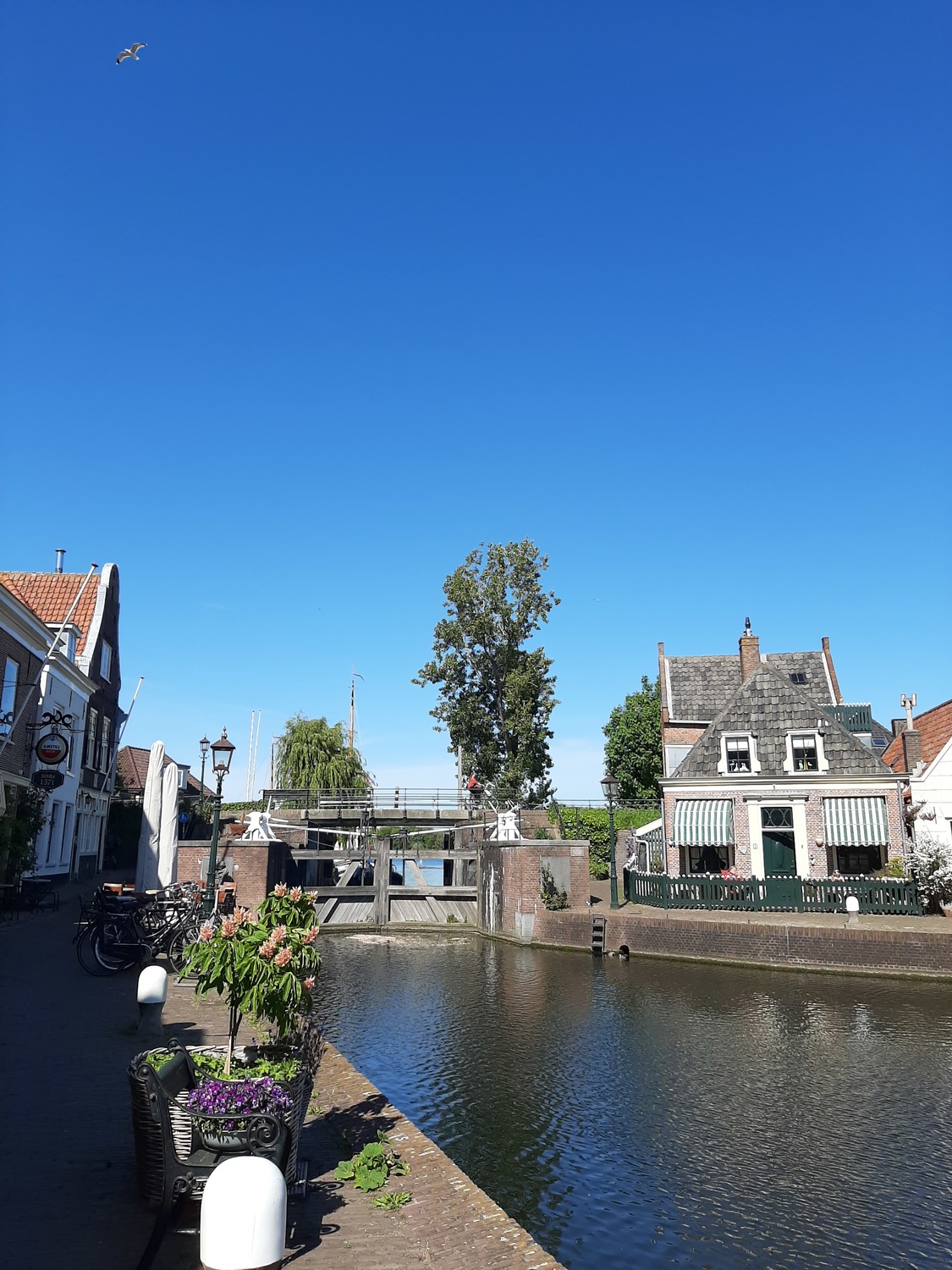 UGC-netherlands-haarlem