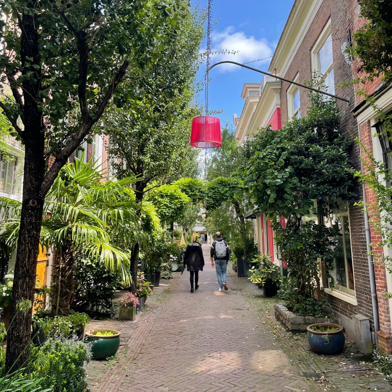 Street in Haarlem with trees and shrubs