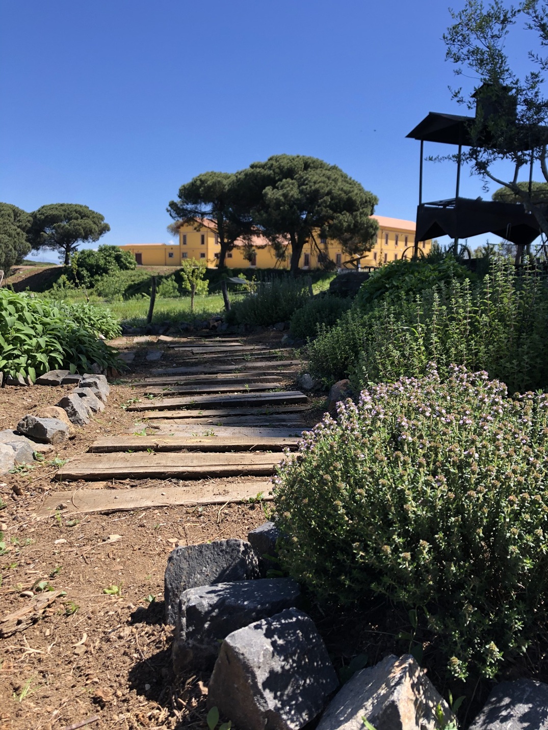 A pathway leading past lush trees and bushes to an orange building on the agricultural estate