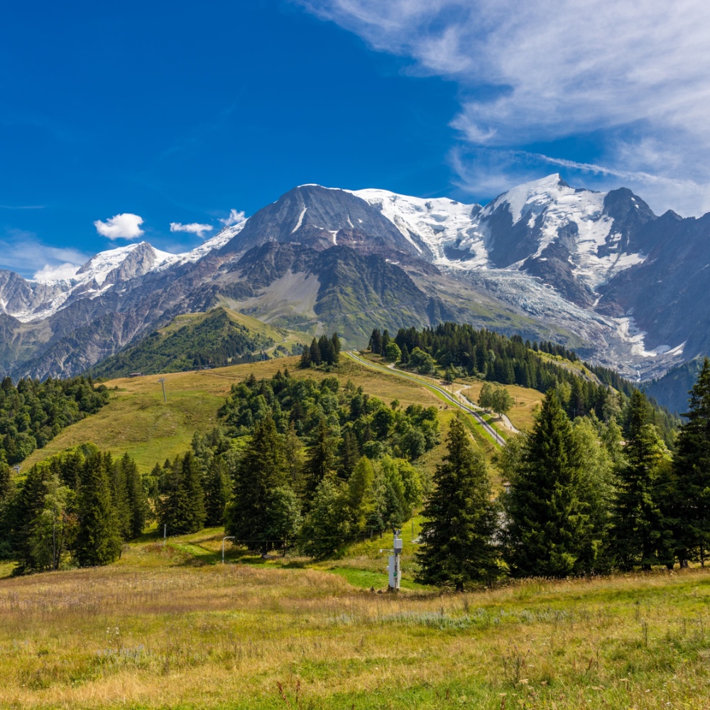 Una collina alpina verde, con alberi sempreverdi e montagne sullo sfondo