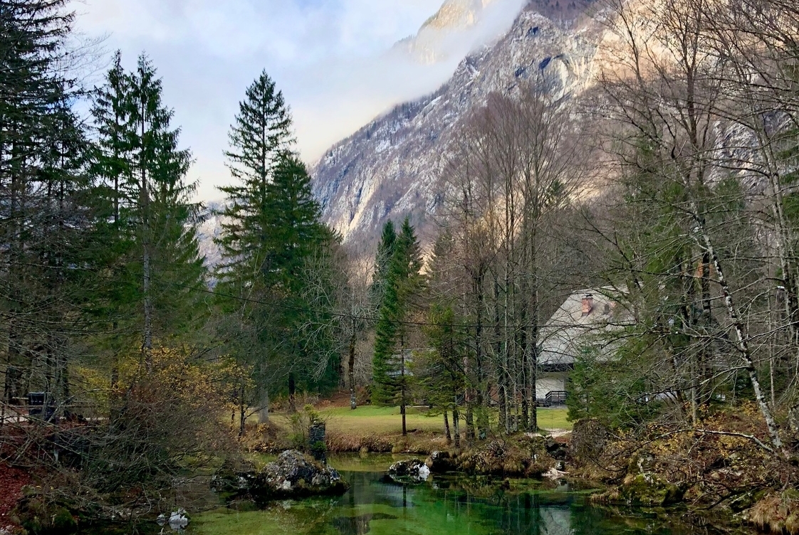 Een kleine inham van water van het meer van Bohinj met bomen en een berg op de achtergrond